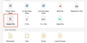 swift headerfile